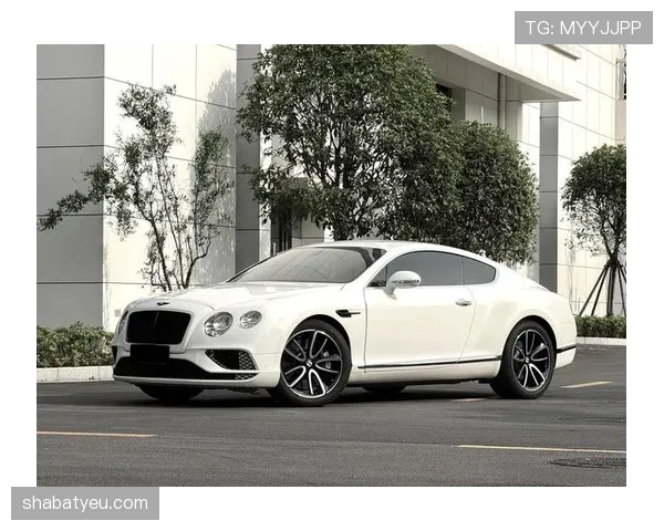 富里睡醒发现账上又多了几百万，顺手给狗买了辆宾利