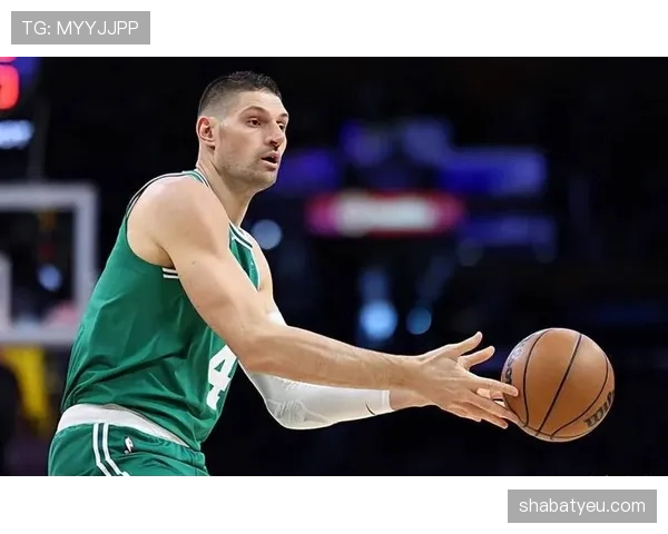 武切维奇挡拆与拉文配合效率胜上季