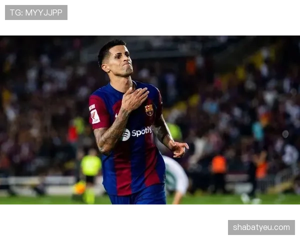 若昂·坎塞洛对比阿什拉夫：控球与冲击力差异