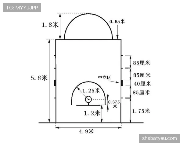 全面剖析篮球赛中 FIBA 和 NBA 规则区别的关键细节内容