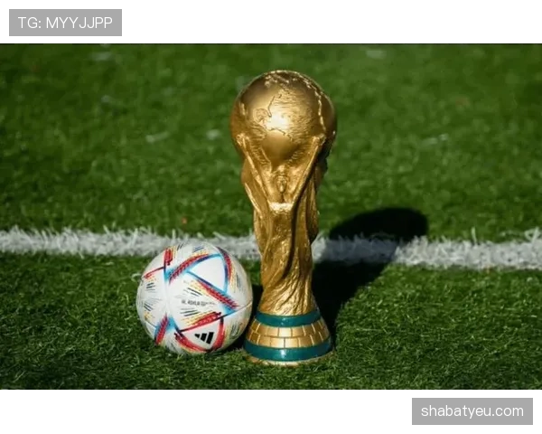 2026世界杯资格席位如何比较