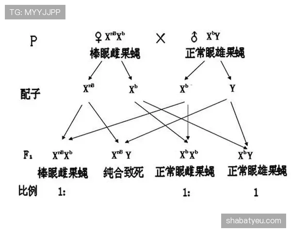 I组谁会改写出线格局 I组谁会改写出线格局